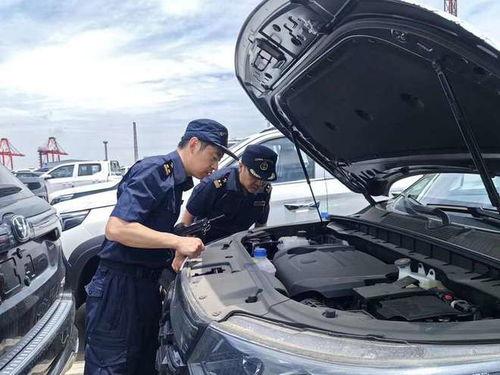 国产在线关放,引领智慧物流新篇章