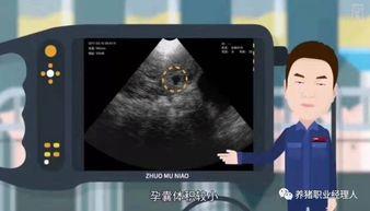 国产妊娠霜测评视频在线,揭秘热门产品真实效果