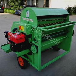 在线观看国产毛豆,在线观看的绿色美食之旅