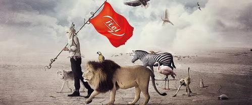 真正的国产黑马在线观看,在线观看见证国产影视新力量