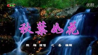 秋叶国产在线观看,在线观看，感受国产影视的魅力之旅