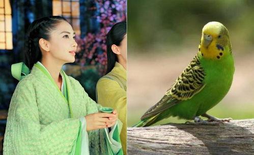 国产绿衣小君在线看,探寻神秘绿衣少女的奇幻之旅